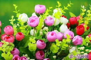 冷门好听的花名及花语