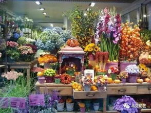 附近鲜花店地址位置