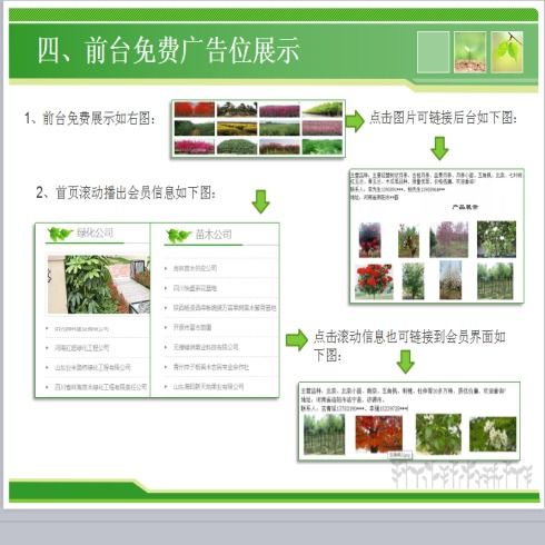 苗木交易平台排行榜