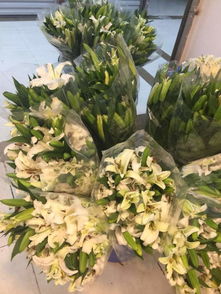 哪里批发鲜花最便宜