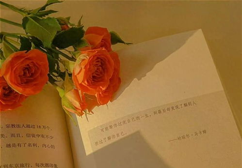 送花文案短句干净