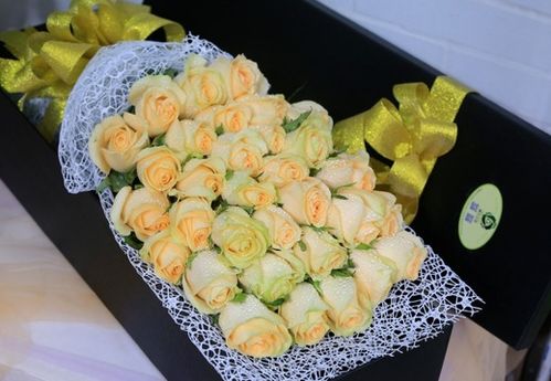 香槟玫瑰花语是什么意思