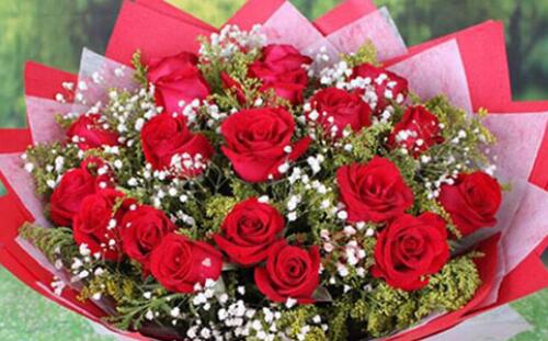 33朵玫瑰花代表什么