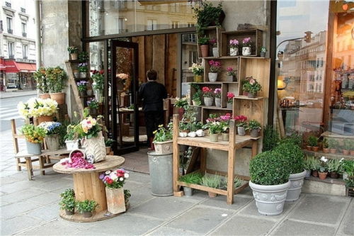 开个鲜花店需要多少钱