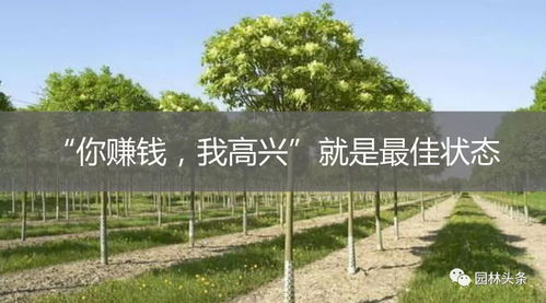 最好的苗木交易网站