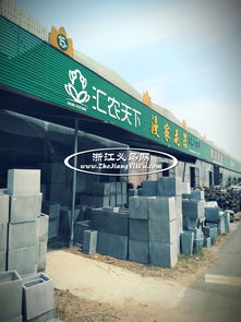 广东苗木最大批发市场