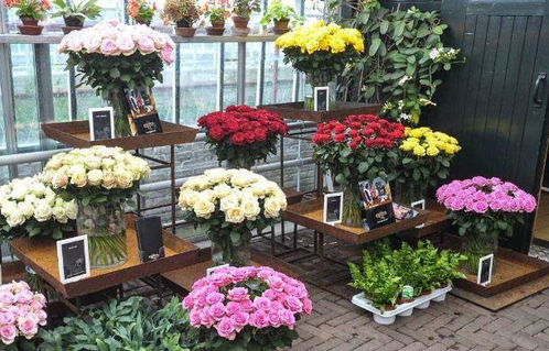 同城花店
