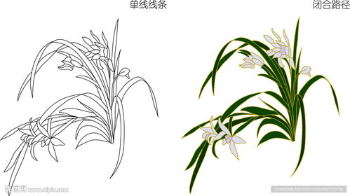 兰花图片大全大图国画