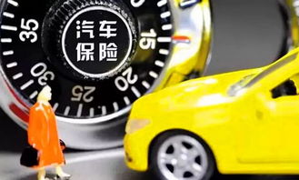 汽车装游泳圈多少钱