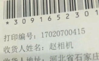房产名字怎么取好