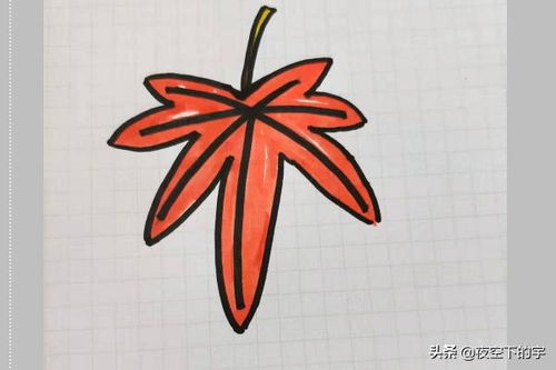枫树简笔画