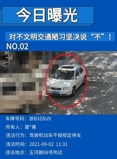 宁波汽车违章罚多少