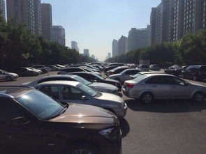 全市各种汽车多少辆车