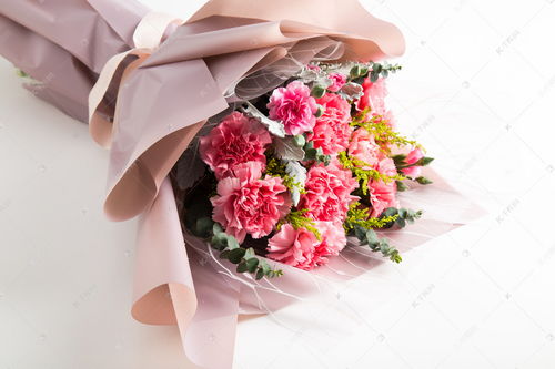鲜花束图片大全花束高清