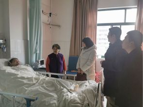 去医院看望老师送什么花
