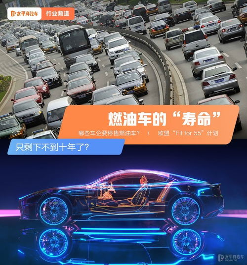 汽车寿命剩下多少