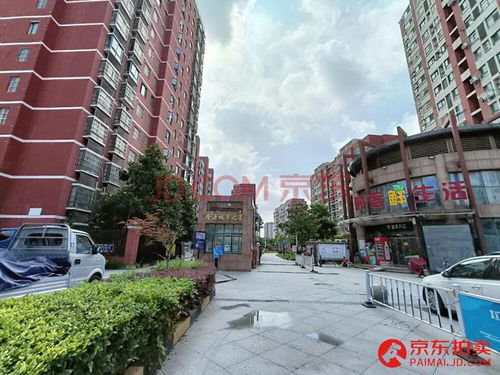 怎么拍卖精品房产