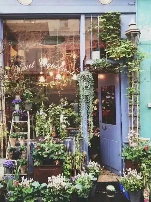 花店代运营哪家好
