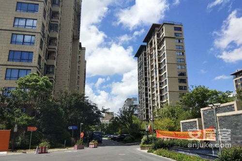 丽都房产怎么样