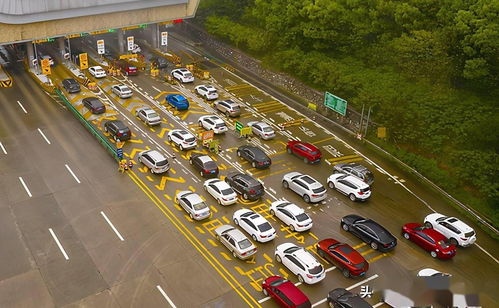 我市共有多少汽车