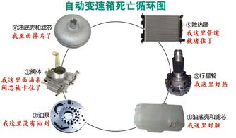 汽车变速箱换滤芯多少钱