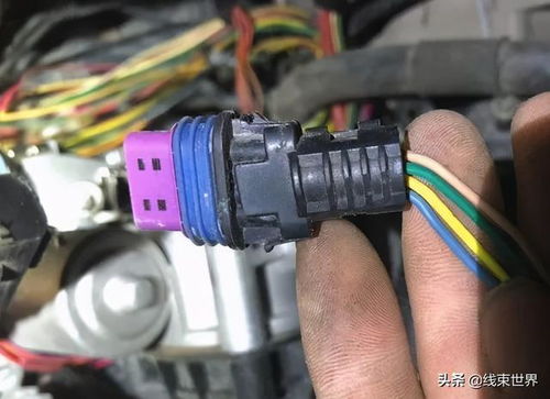 上海汽车喇叭线束多少钱