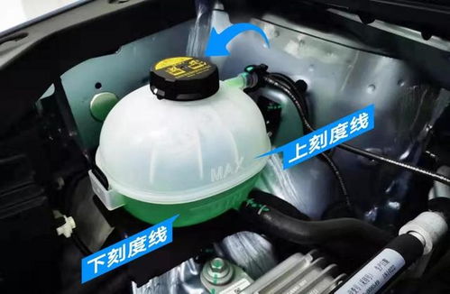 雷凌汽车换防冻液多少钱