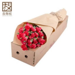 10朵康乃馨多少钱