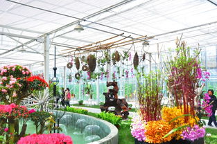 上海鲜花港批发市场