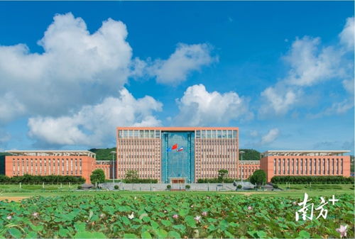 珠海房产学位怎么算