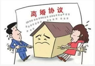 离婚没有房产怎么处理