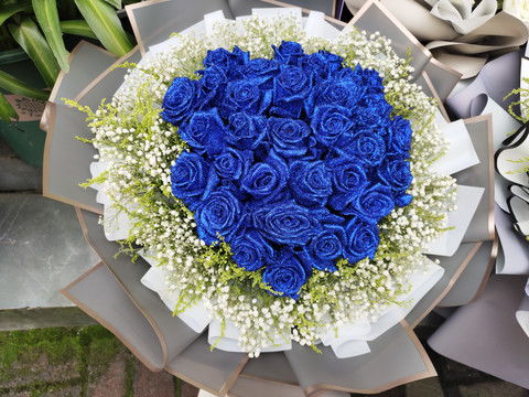 玫瑰花蓝色妖姬图片