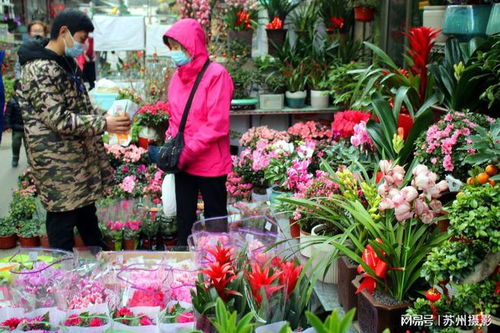 苏州鲜花交易市场