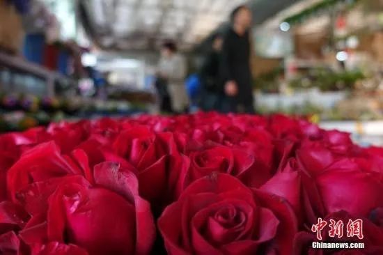 情人节送什么玫瑰
