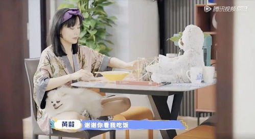 发房产作品怎么吸粉