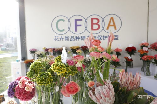 花店鲜花品种大全大图
