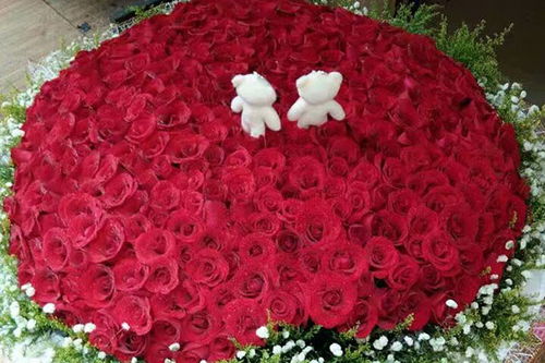 99朵玫瑰花真实图片