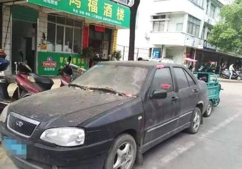 闲置汽车有多少