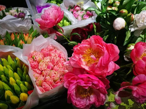 鲜花批发市场电话