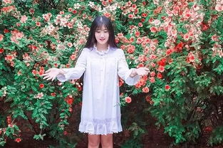 鲜花网站设计思路及方法