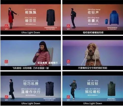 房产发件状态怎么查询
