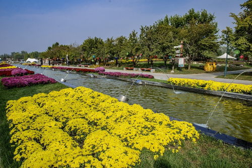 北京鲜花港地址