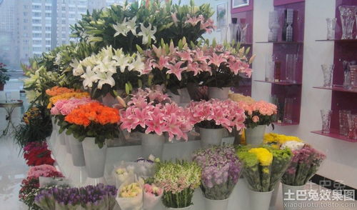 石家庄比较好的花店
