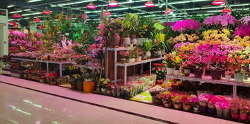 北京海淀区花店