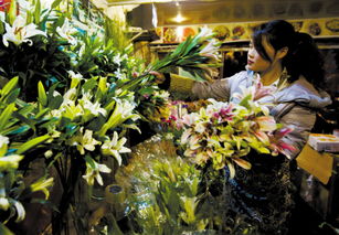 花店都有哪些鲜花品种 花店都有哪些鲜花品种