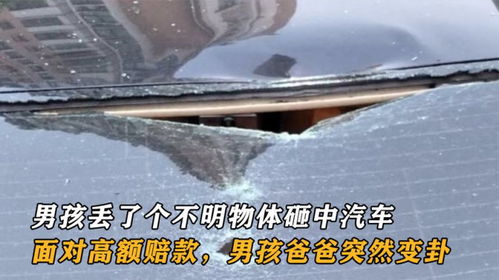 汽车砸人赔偿多少