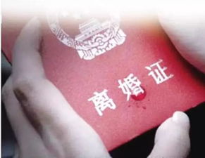 妻子去世后房产怎么过户
