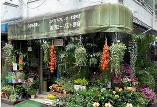 花店图片大全