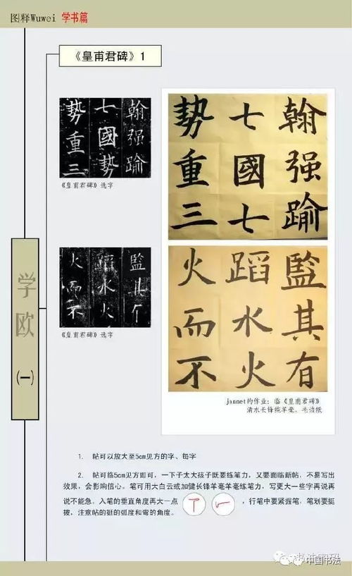 学书法有哪些游戏好 学书法有哪些游戏好