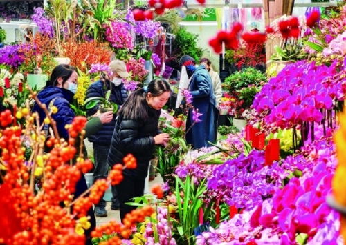 花卉市场批发各种花价